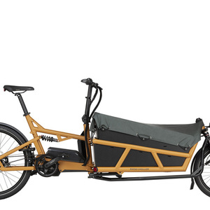 2023 Riese & Müller Load4 75 rohloff cargo bike Silver, gray or bare metal
